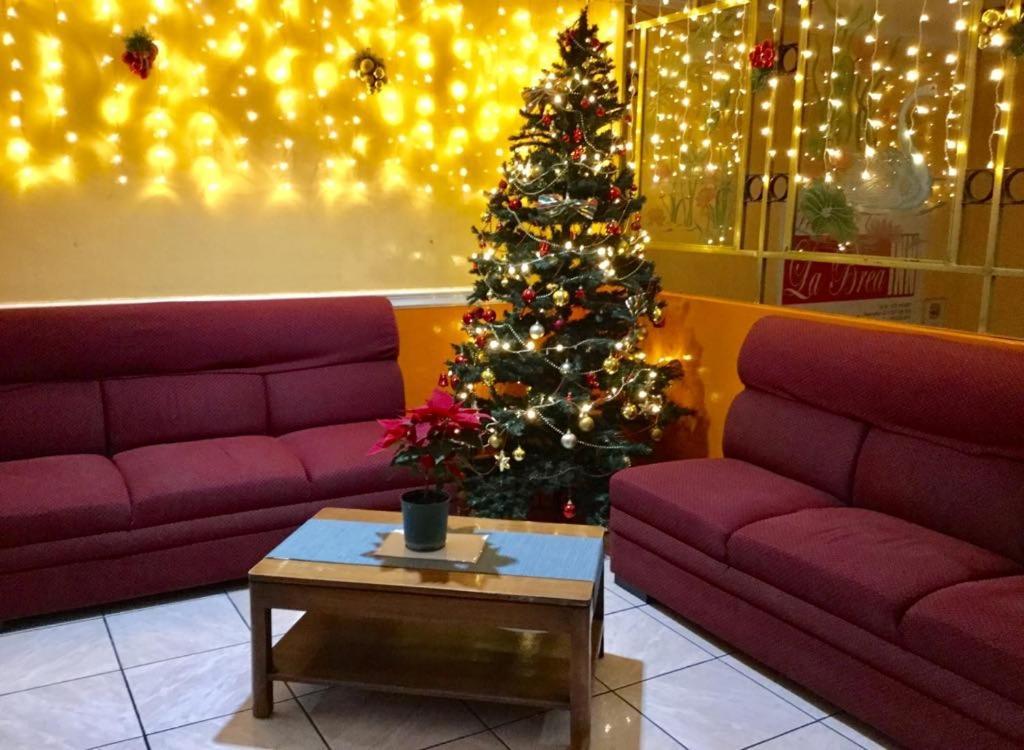 La Brea Inn Baguio City Luaran gambar
